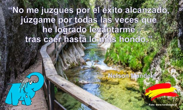No me juzgues por el éxito alcanzado, júzgame por todas las veces que he logrado levantarme tras caer hasta lo más hondo.